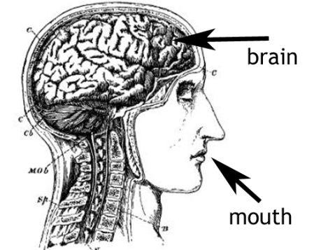 brain-mouth disconnect